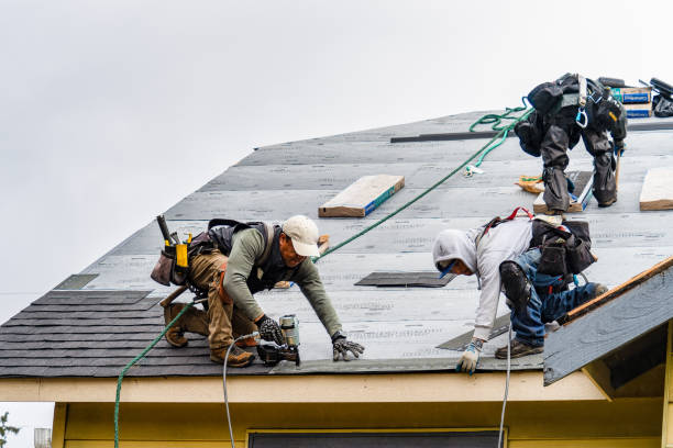 Professional Gutter Installation technician working in Copeland, FL