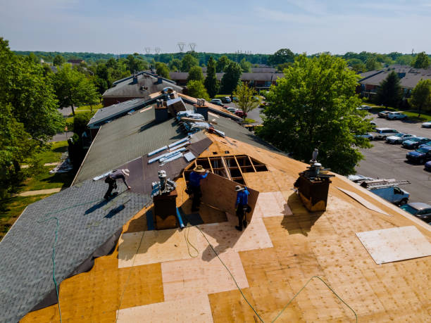 Trusted Roof Installation service in Copeland, FL - Brentwood Metal Roofing